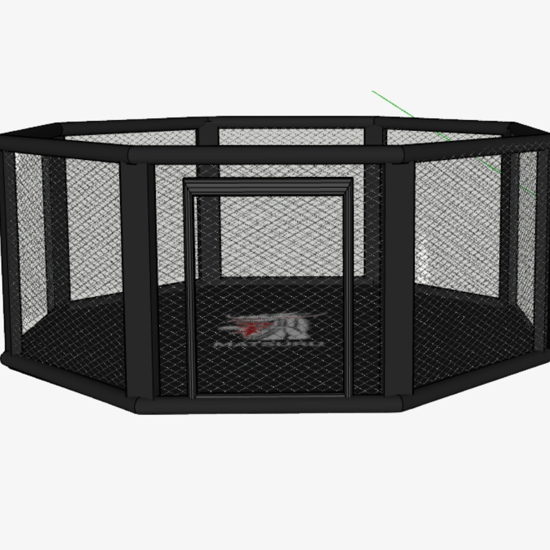 MMA Octagon